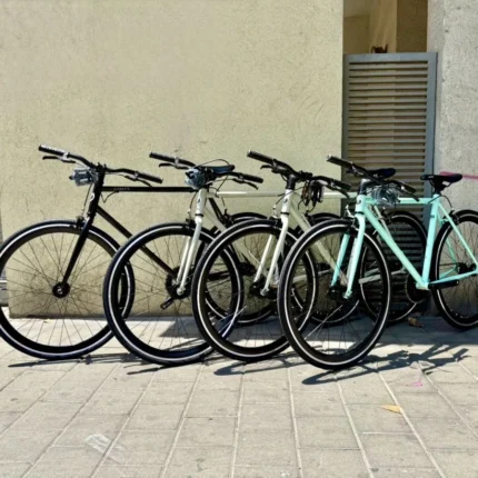 אופני סינגל ספיד Ultrafix 700C שחף אופניים תל אביב